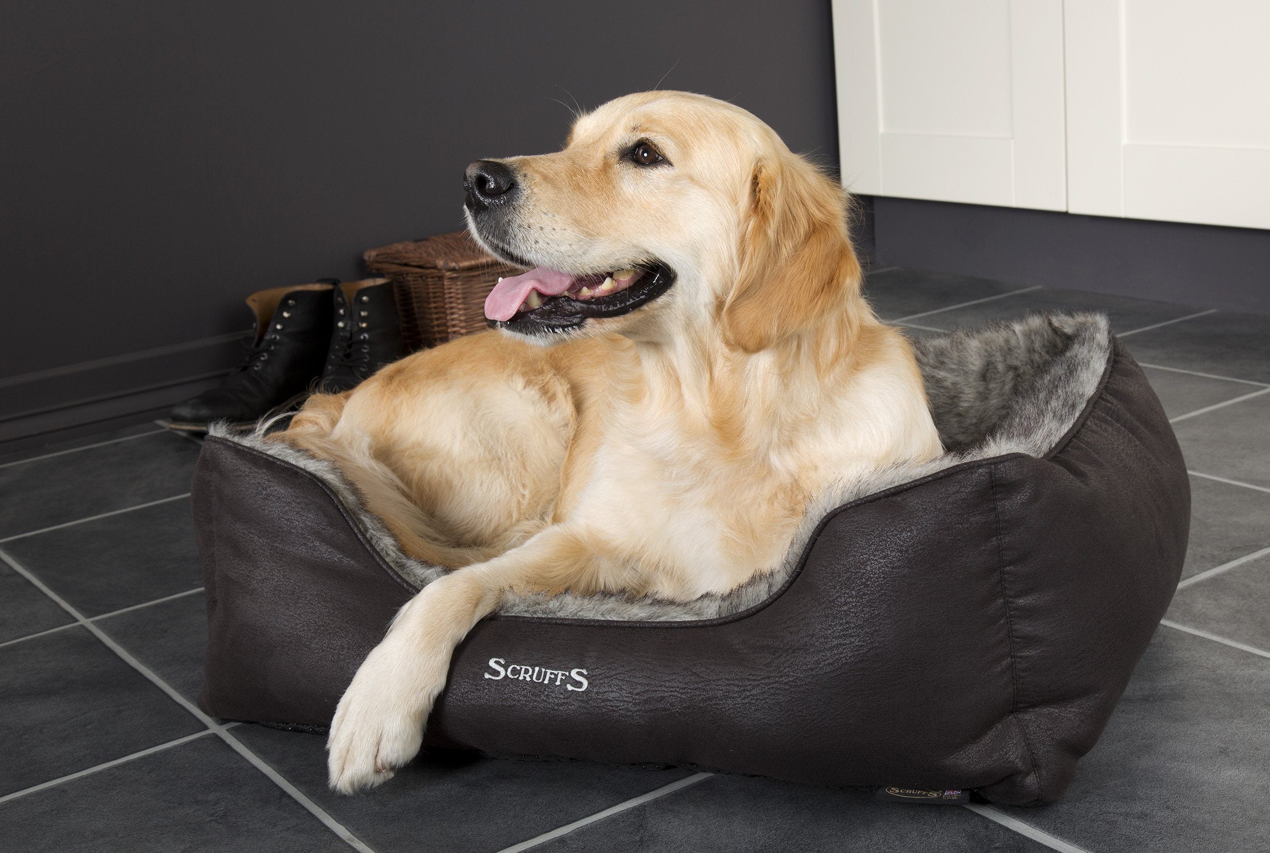 #ScruffsLoves: Our Recommendations for September 2018