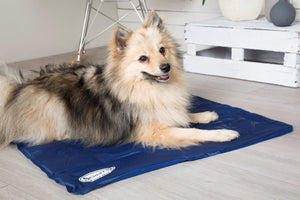 #ScruffsLoves: Self-Cooling Mats & Water-Resistant Beds are Shortlisted in Our Must-Have List for May 2019