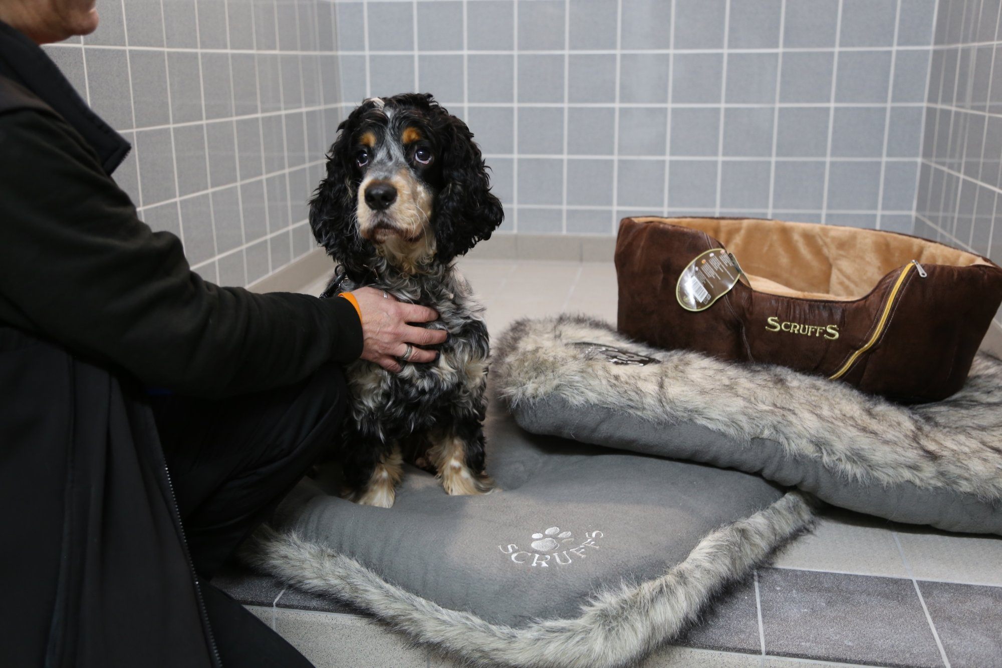 Scruffs® Support Several Charities in March