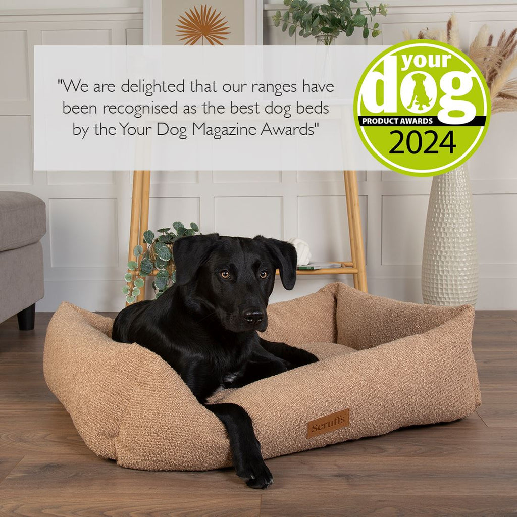 Scruffs® Celebrates “Best Dog Bed” Award from Your Dog Magazine 2024