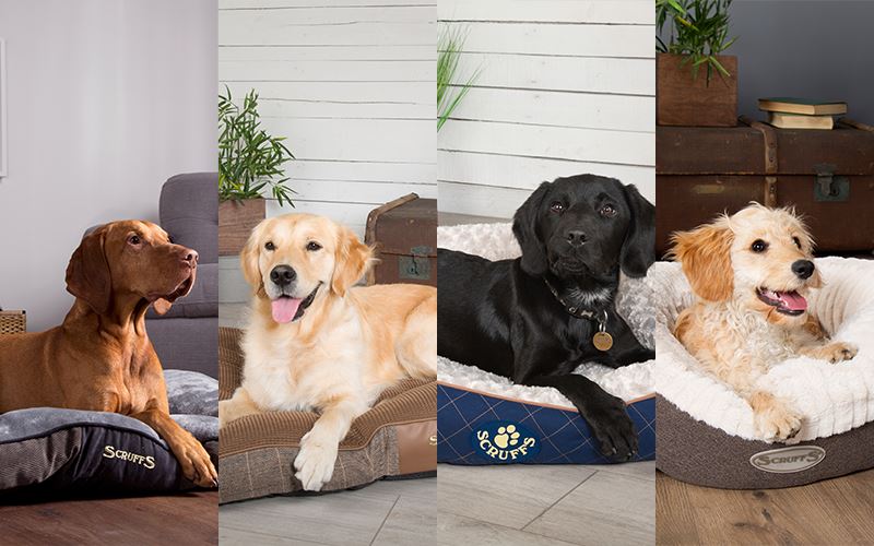 #OnTrend: Scruffs® Chester, Windsor Wilton & Ellen Collections all Feature in Our New Trending Category for March