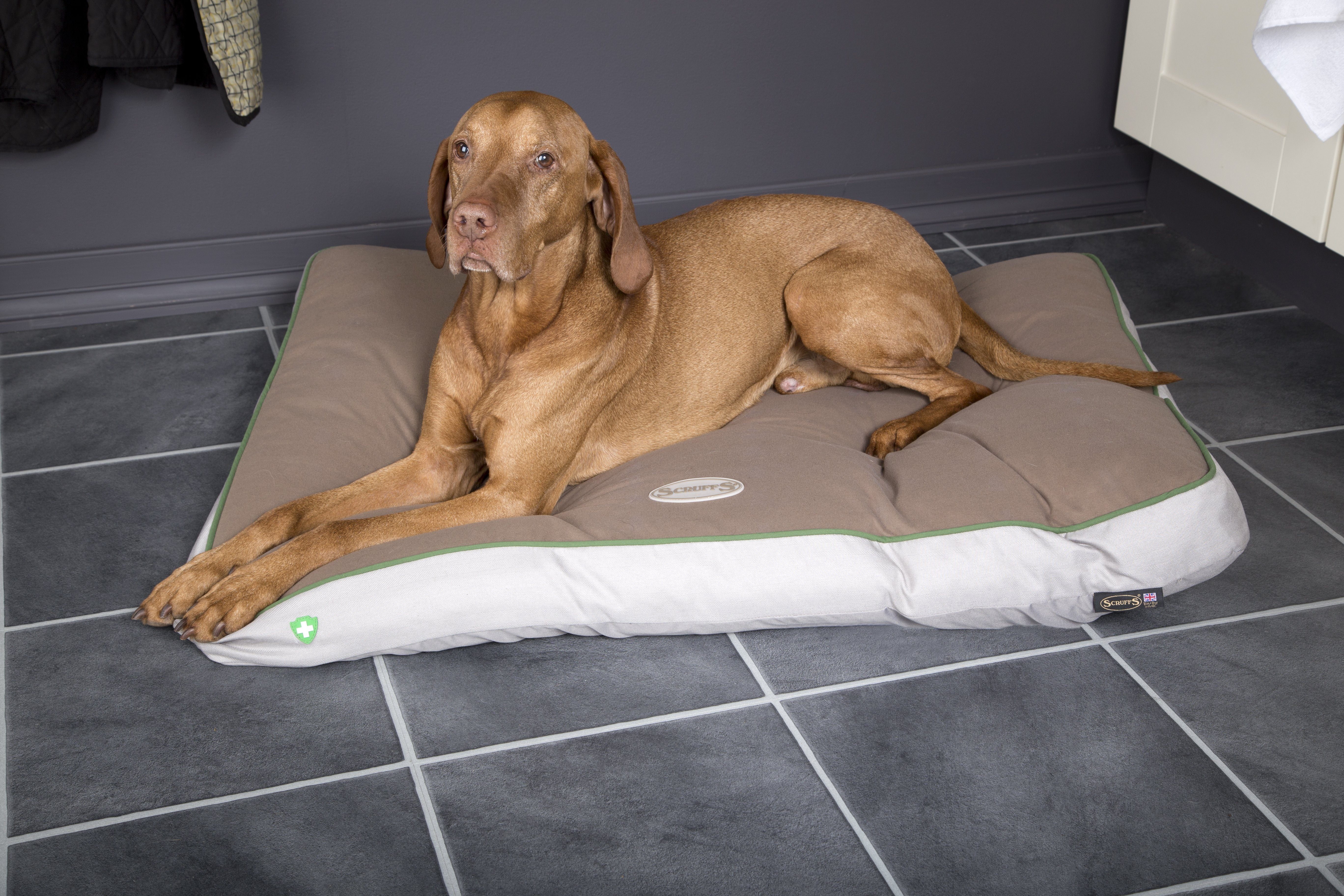 #ScruffsLoves: Top Bedding Choices for April 2018