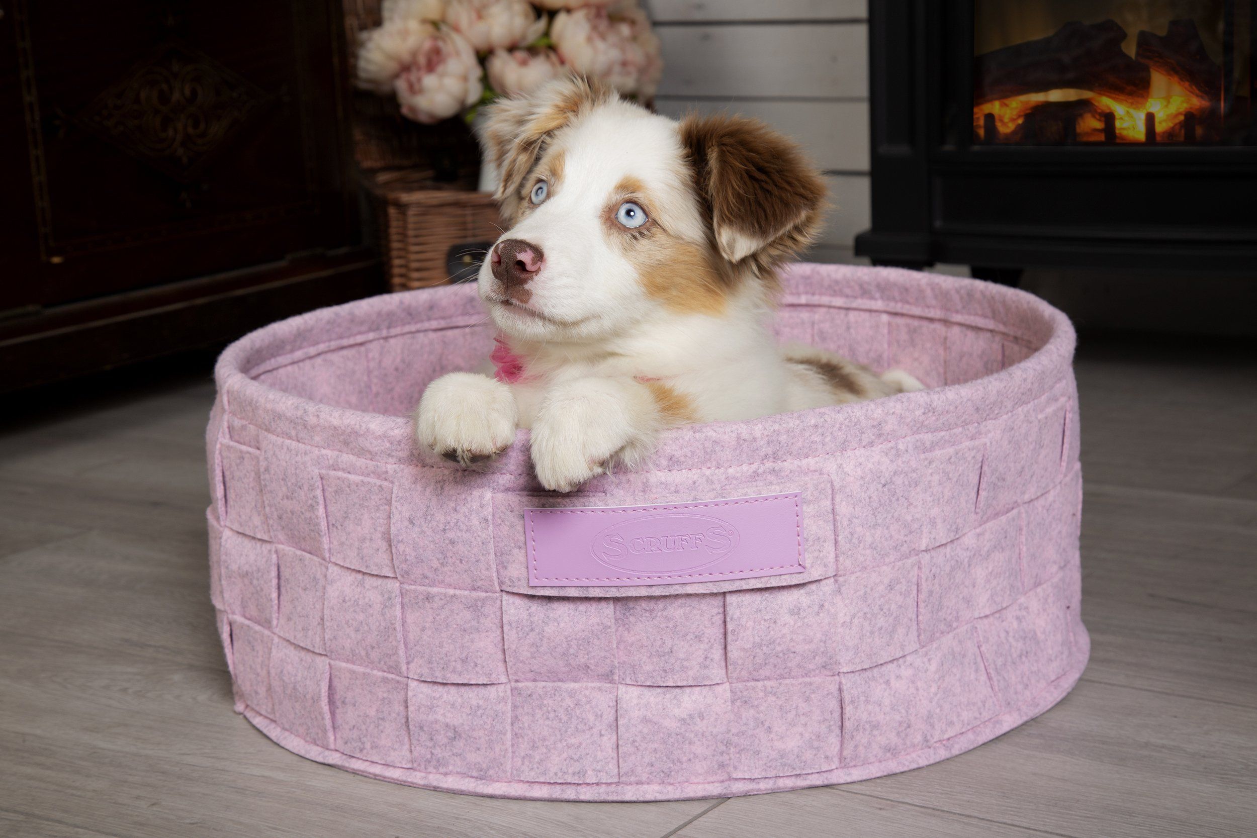 New Cat & Small Dog Bedding is Here!