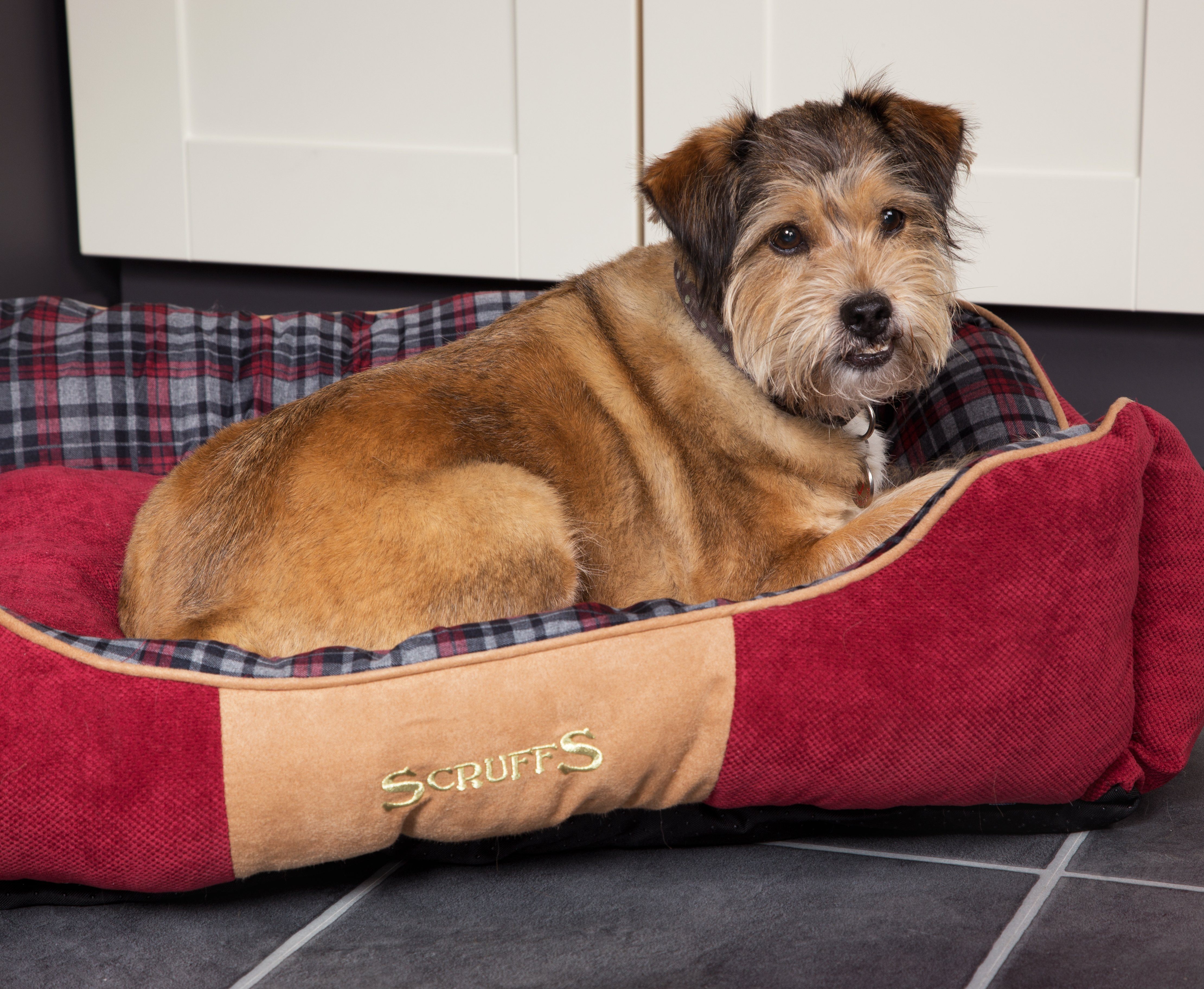 Summer-style Pet Bedding from Scruffs®