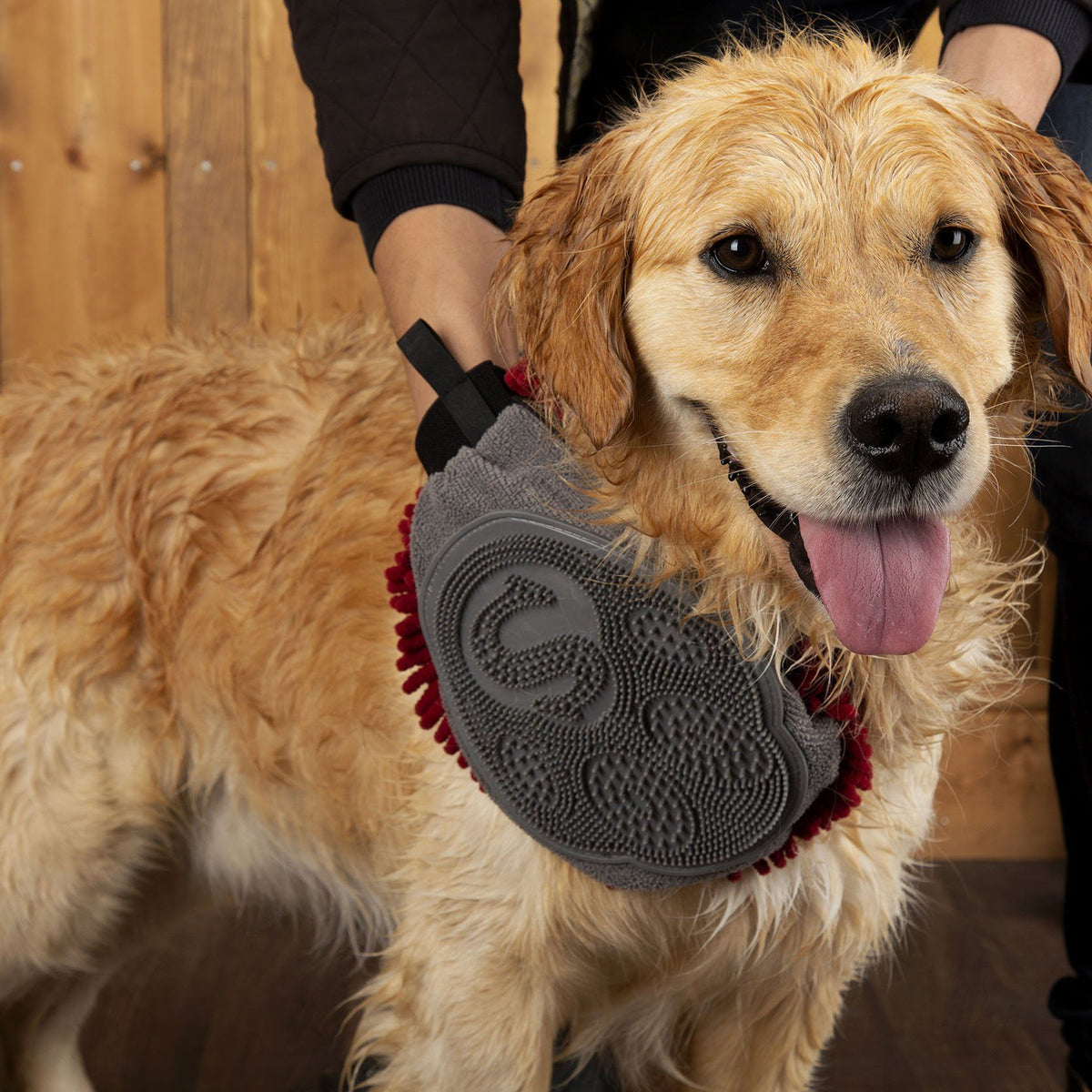 The Ideal Drying Accessory Kit for your Canine Companion – petslovescruffs