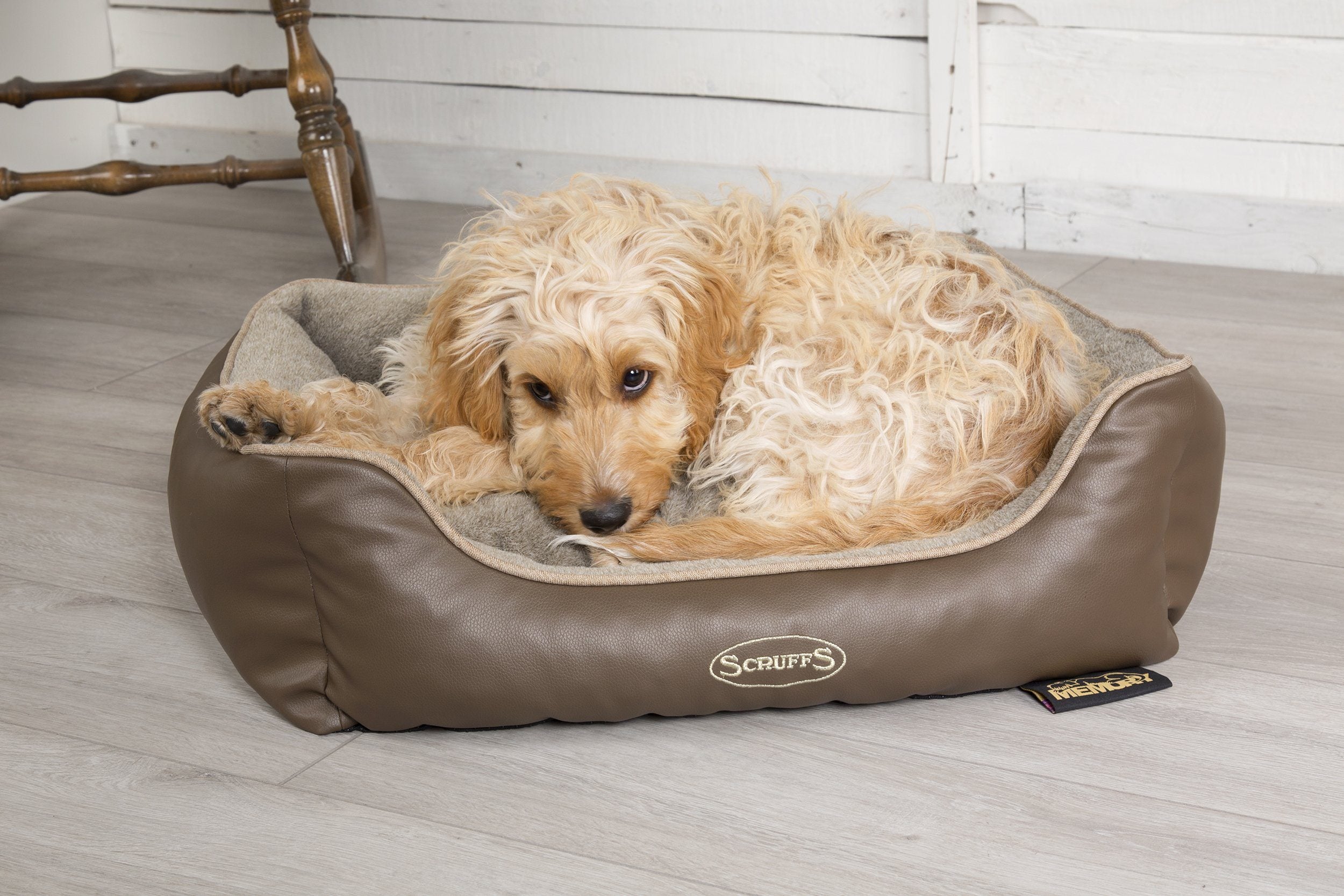 Scruffs® Offer Memory Foam Dog Bed in October Giveaway