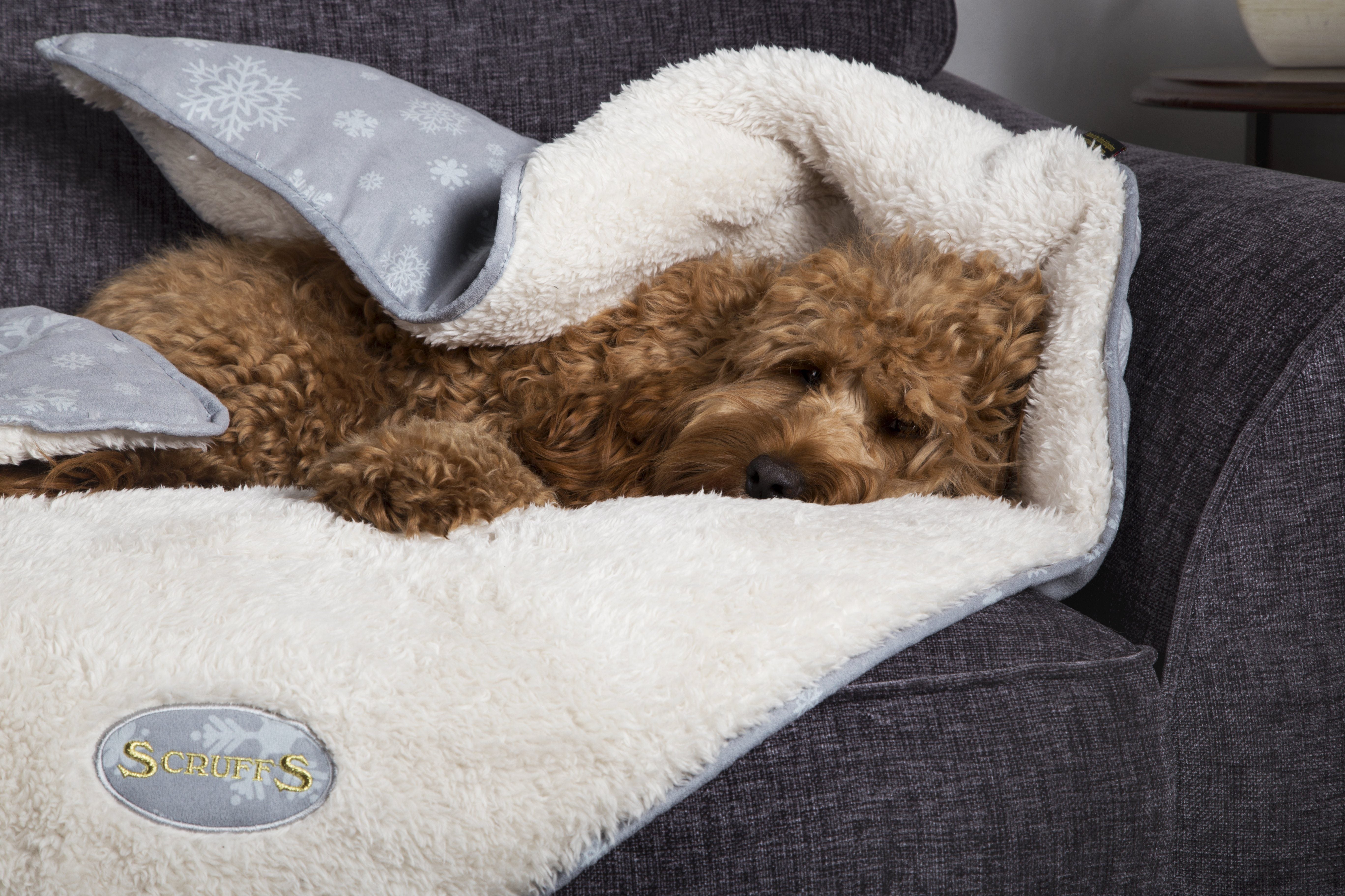 It's the most wonderful time of the year...