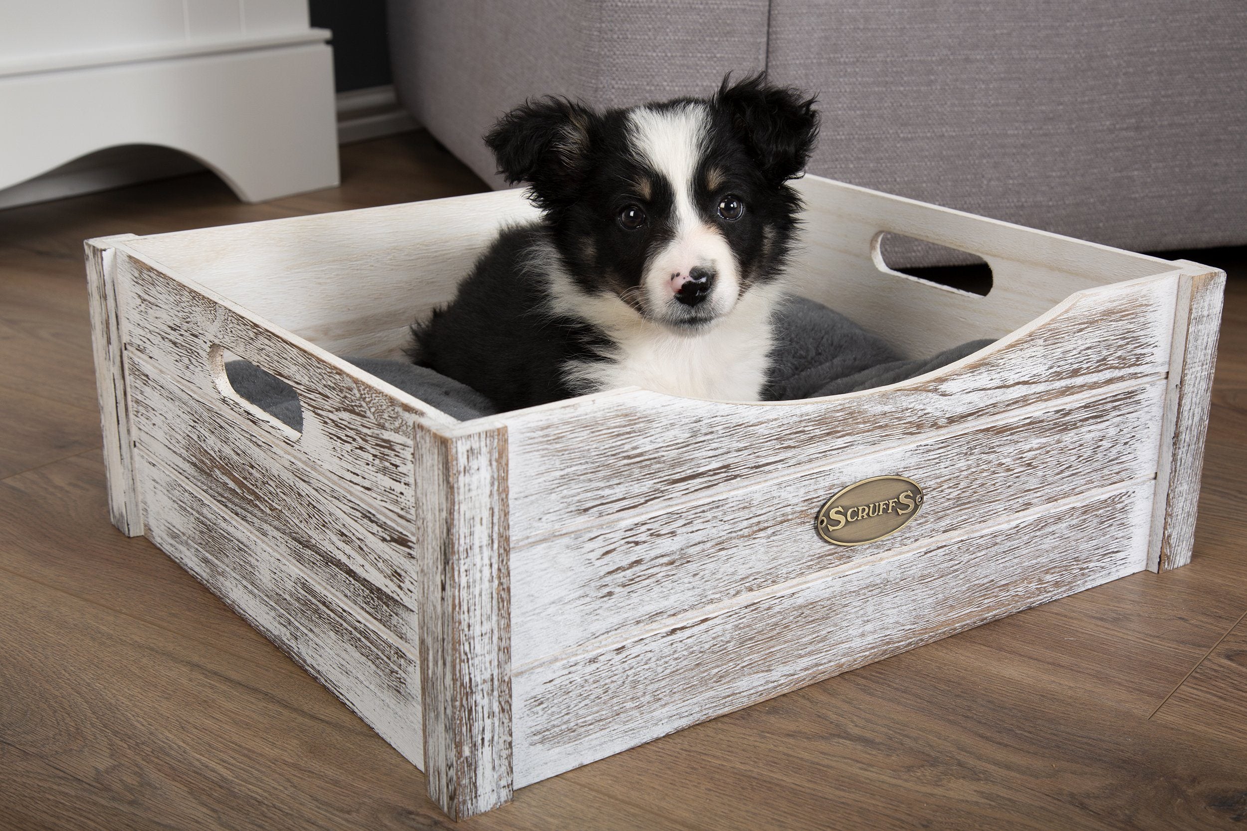 Freebies Galore this February