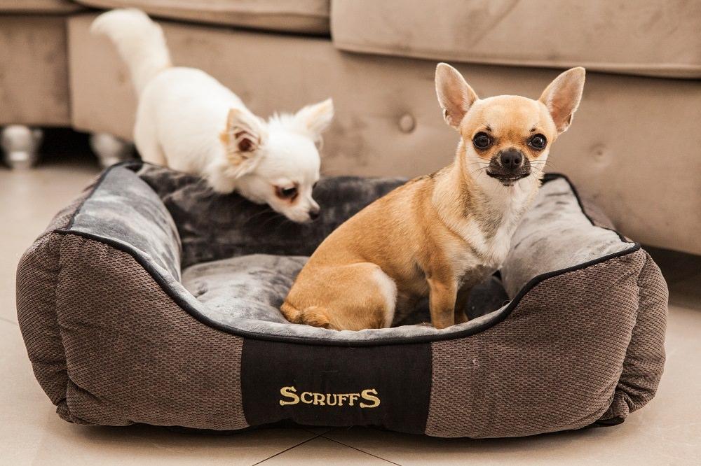 Geordie Shore Star Marnie Simpson Chooses Scruffs®