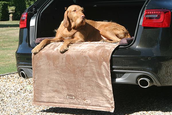 #ScruffsLoves: Our Recommendations For July 2018