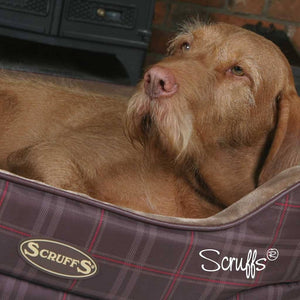 Balmoral Dog Bed Collection