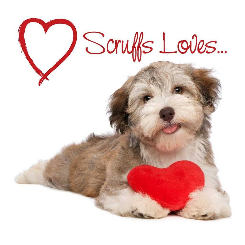 Scruffs Loves...