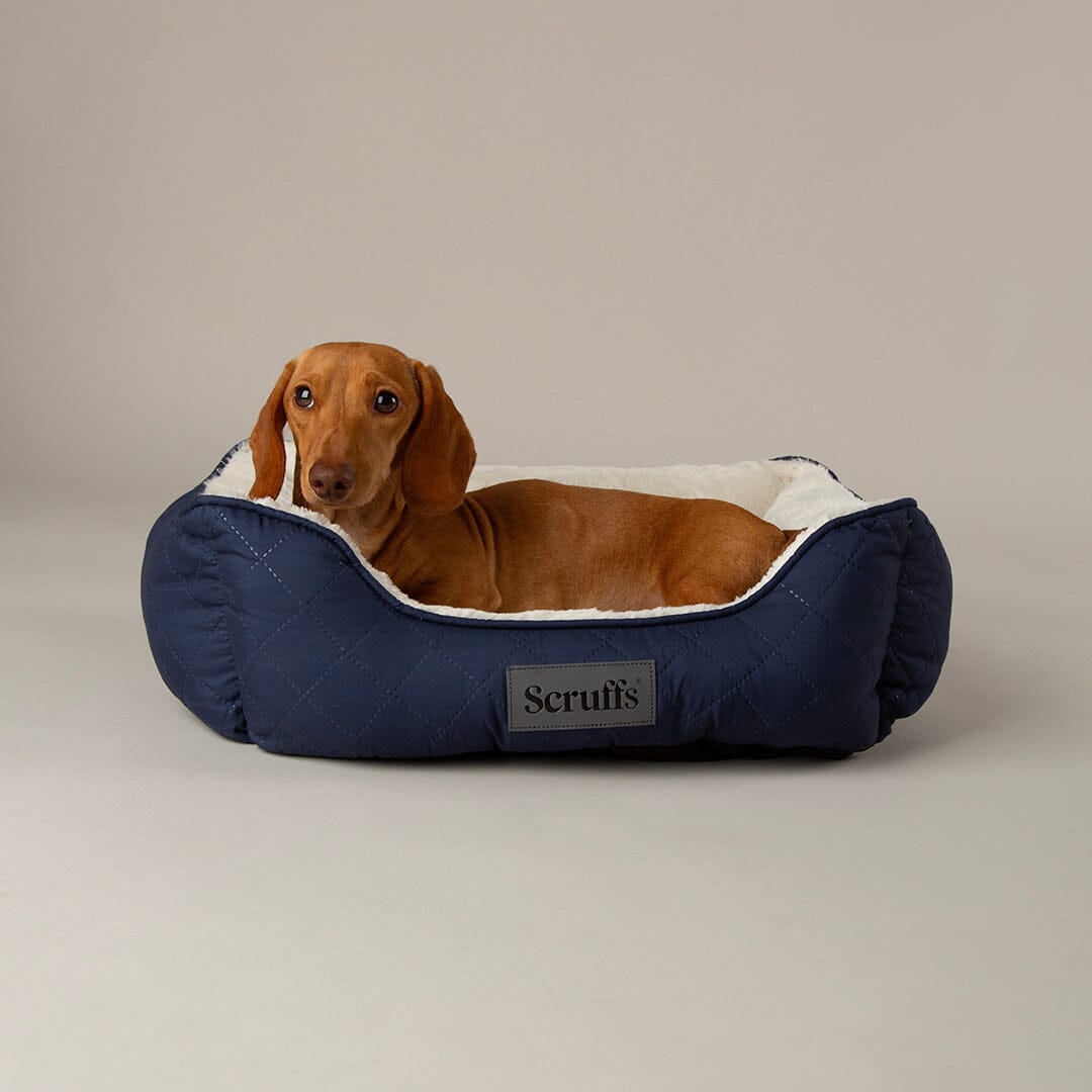 Wilton Box Bed Navy Blue
