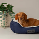 Wilton Box Bed - Navy Blue Dog Beds Scruffs® 