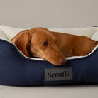 Wilton Box Bed - Navy Blue Dog Beds Scruffs® 