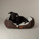 Wilton Box Bed - Chocolate Brown Dog Beds Scruffs® 