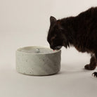 Zen Cat Water Fountain 20cm - Grey Pet Bowls, Feeders & Waterers Scruffs® 