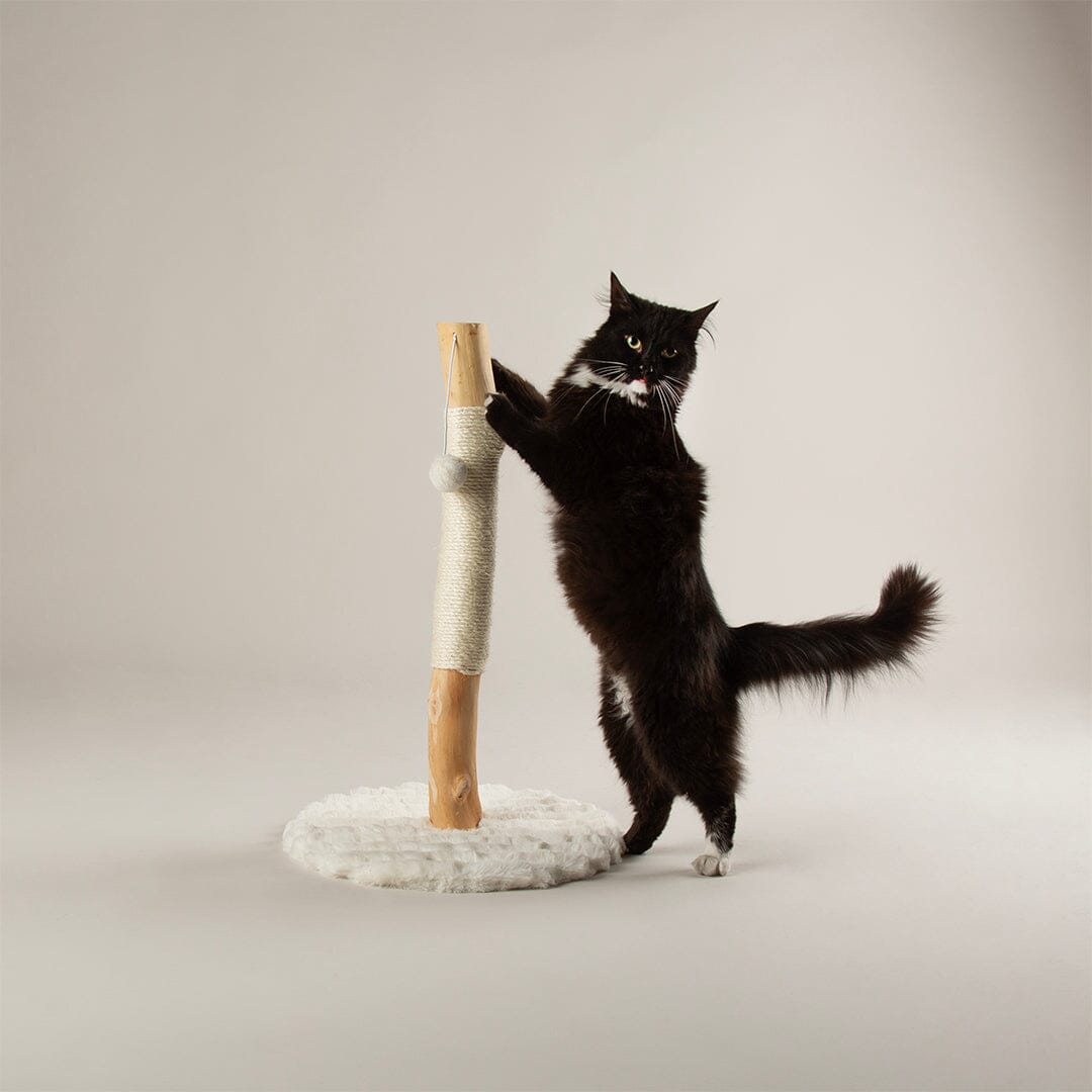Alpine Rockies Cat Scratching Post