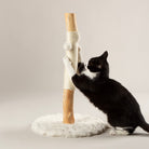Rockies Cat Scratching Tree - Cream Cat Tree petslovescruffs 