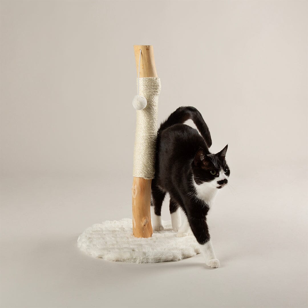 Rockies Cat Scratching Tree - Cream Cat Tree petslovescruffs 