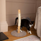 Rockies Cat Scratching Tree - Taupe Cat Tree petslovescruffs 