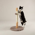 Rockies Cat Scratching Tree - Taupe Cat Tree petslovescruffs 
