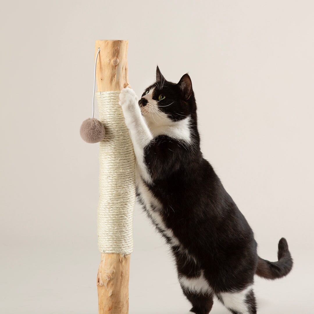 Rockies Cat Scratching Tree - Taupe Cat Tree petslovescruffs 