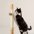 Rockies Cat Scratching Tree - Taupe Cat Tree petslovescruffs 