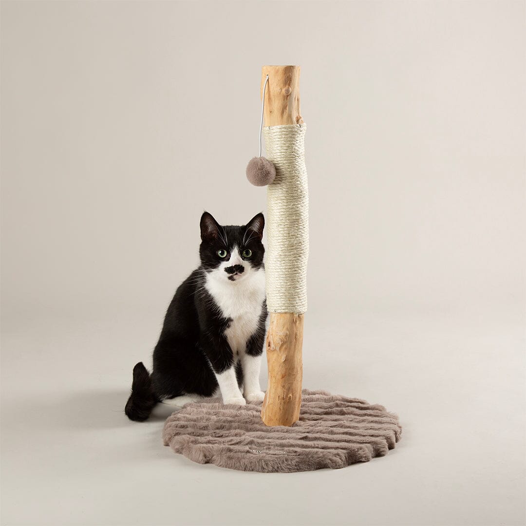Rockies Cat Scratching Tree - Taupe Cat Tree petslovescruffs 