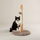 Rockies Cat Scratching Tree - Taupe Cat Tree petslovescruffs 
