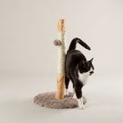 Rockies Cat Scratching Tree - Taupe Cat Tree petslovescruffs 