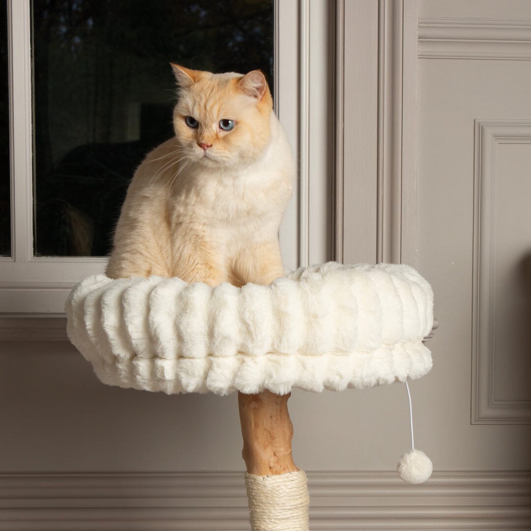 Appalachians Cat Scratching Tree - Cream Cat Tree petslovescruffs 