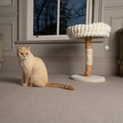Appalachians Cat Scratching Tree - Cream Cat Tree petslovescruffs 