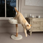 Appalachians Cat Scratching Tree - Cream Cat Tree petslovescruffs 
