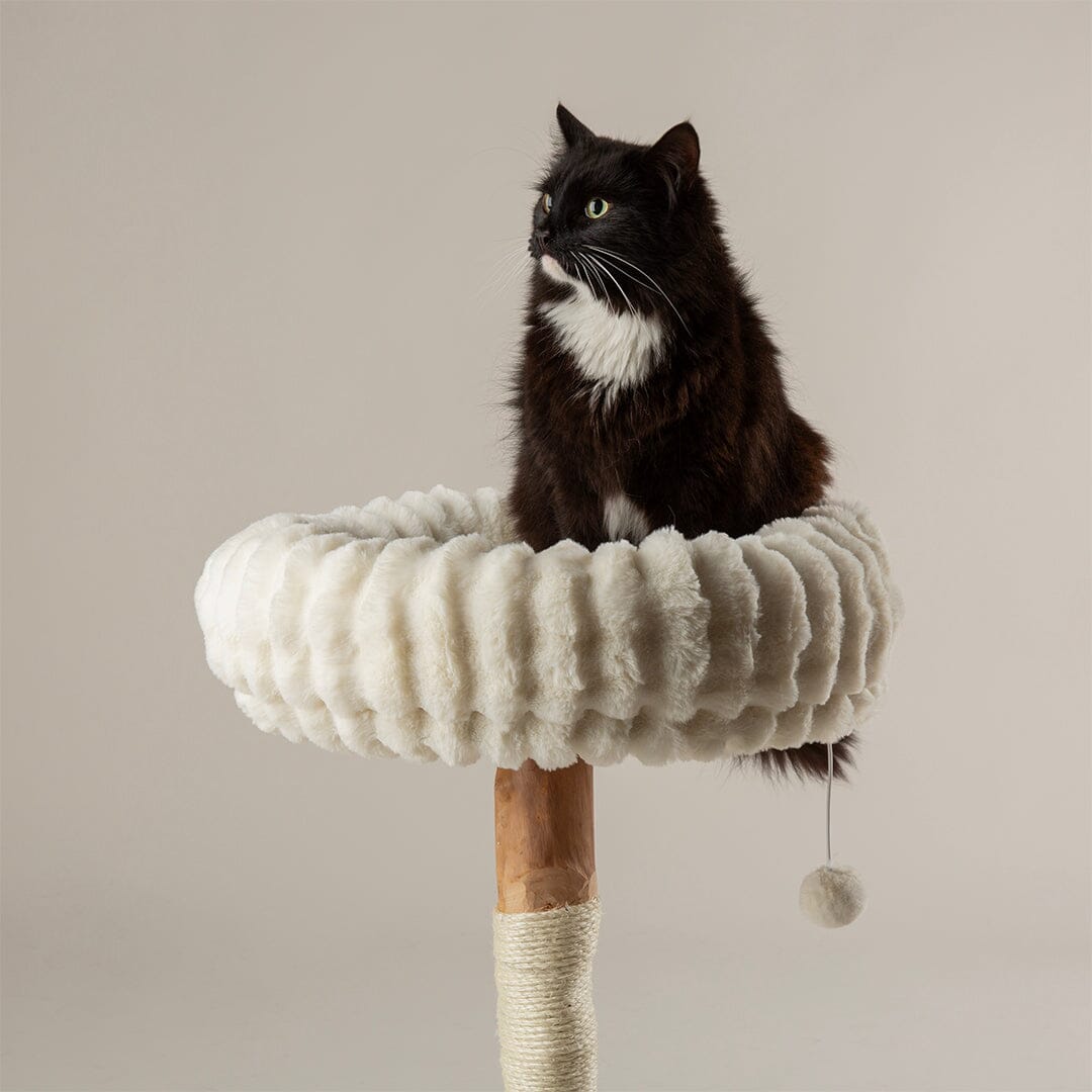 Appalachians Cat Scratching Tree - Cream Cat Tree petslovescruffs 