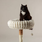 Appalachians Cat Scratching Tree - Cream Cat Tree petslovescruffs 