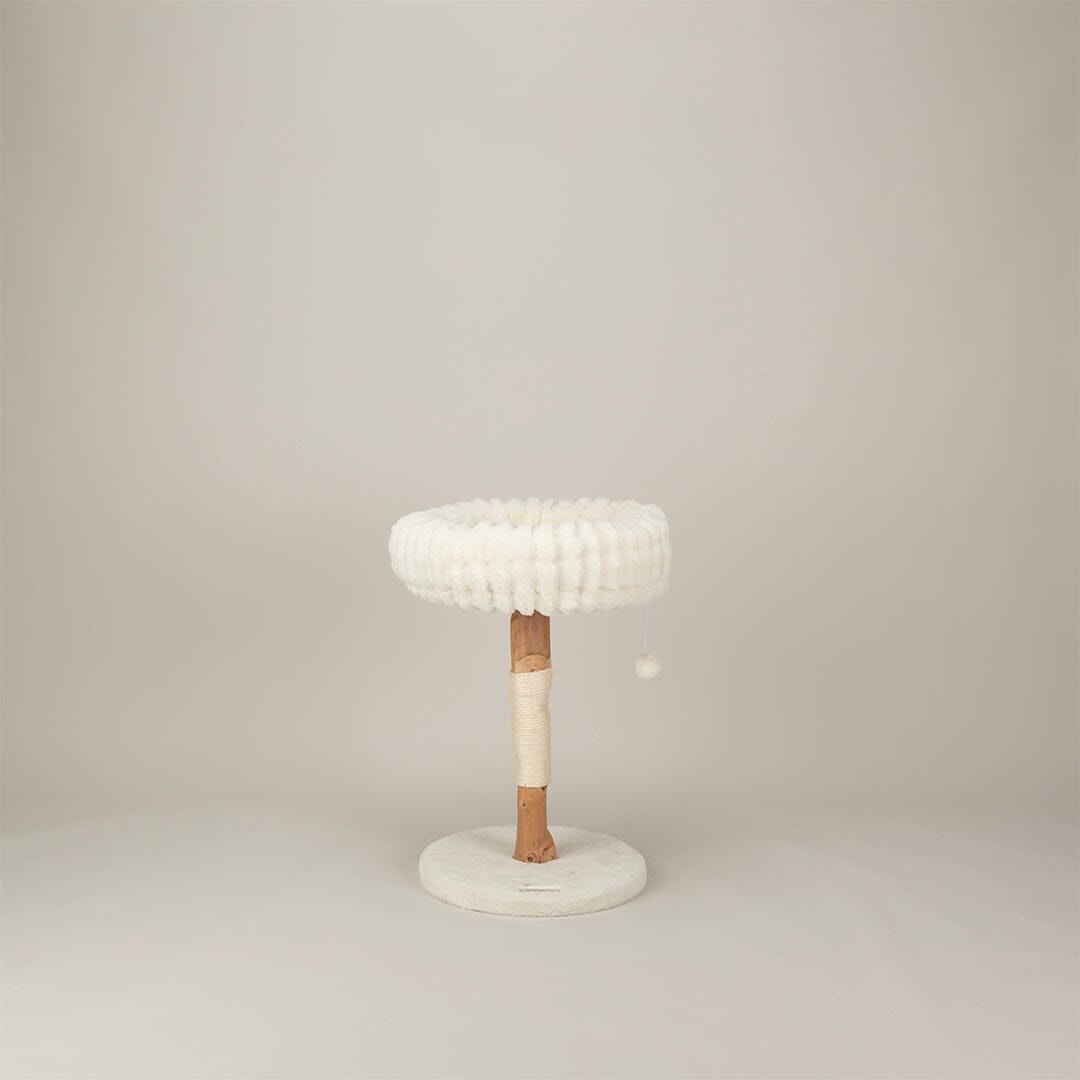 Appalachians Cat Scratching Tree - Cream Cat Tree petslovescruffs 