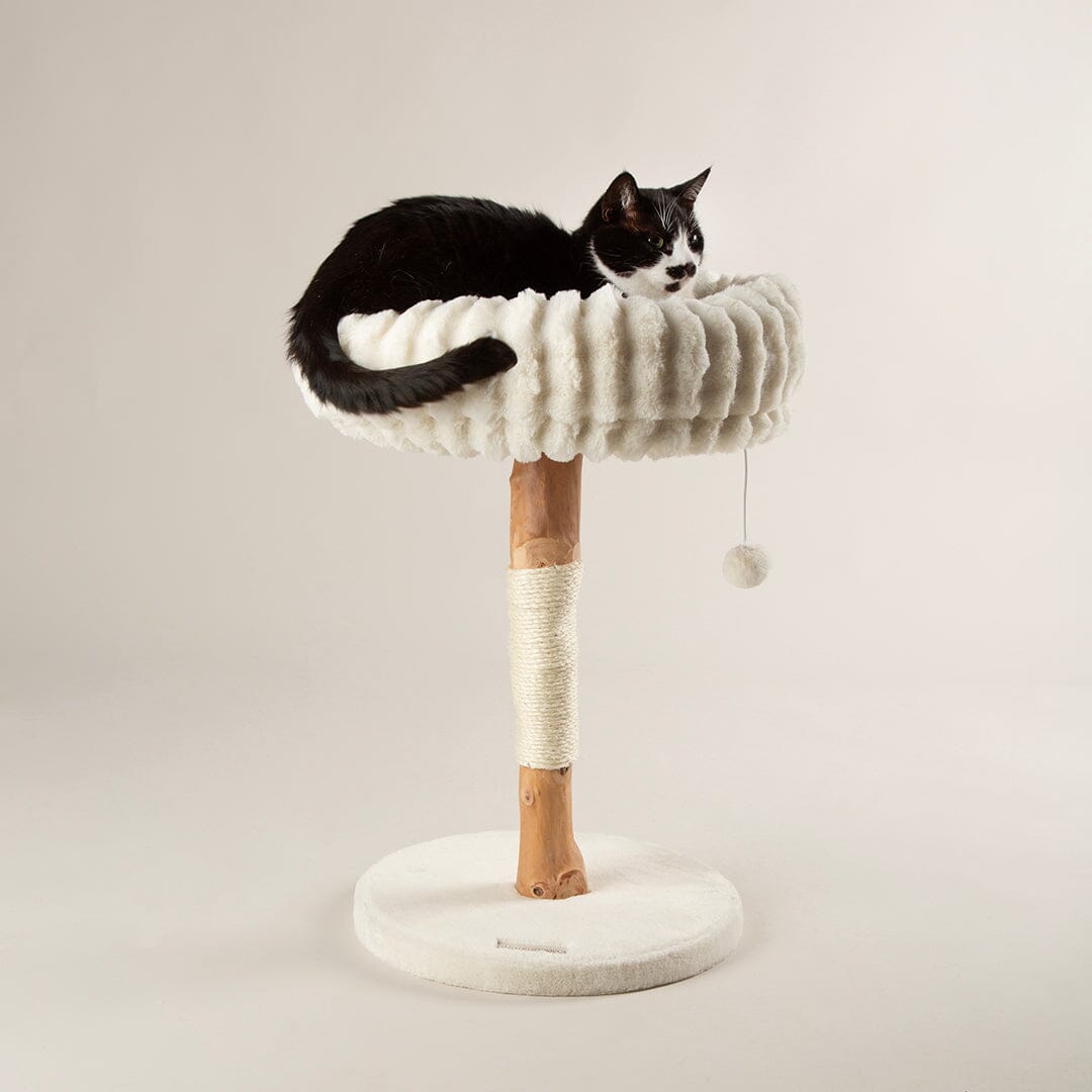 Appalachians Cat Scratching Tree - Cream Cat Tree petslovescruffs 