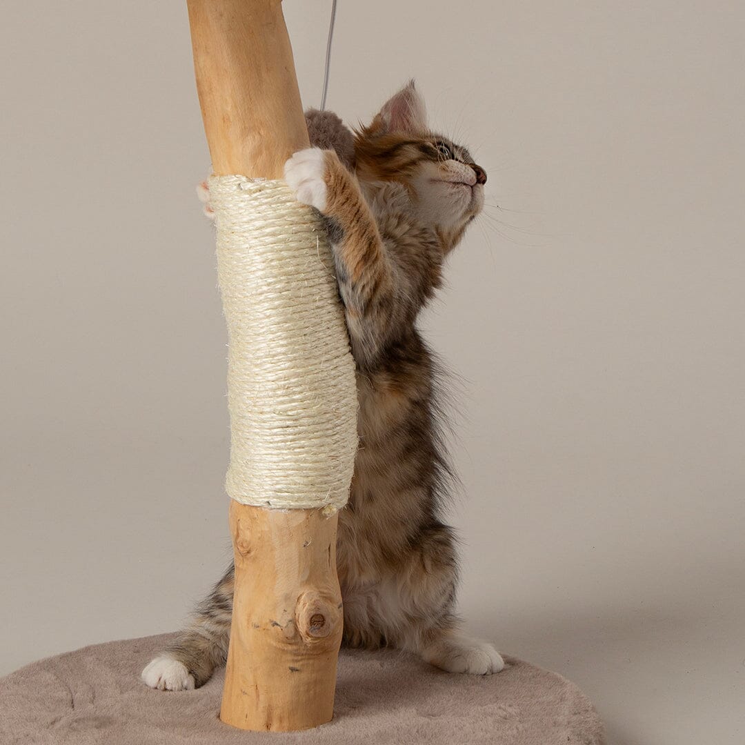 Appalachians Cat Scratching Tree - Taupe Cat Tree Scruffs® 