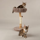 Appalachians Cat Scratching Tree - Taupe Cat Tree Scruffs® 