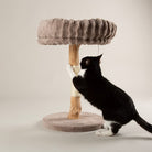 Appalachians Cat Scratching Tree - Taupe Cat Tree Scruffs® 