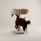 Appalachians Cat Scratching Tree - Taupe Cat Tree Scruffs® 