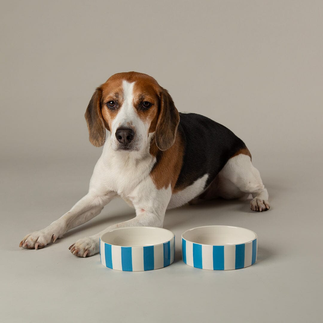 Scruffs® Amalfi Striped 2 Piece Dog Bowl Set - Blue