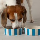 Amalfi Striped 2 Piece Dog Bowl Food & Water Bowl Set - Blue Pet Bowls, Feeders & Waterers Scruffs® 