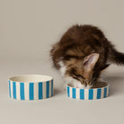 Amalfi Striped 2 Piece Cat Food Bowl & Saucer Set - Blue Pet Bowls, Feeders & Waterers Scruffs® 