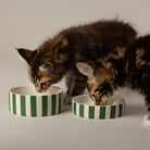 Amalfi Striped 2 Piece Cat Food Bowl & Saucer Set - Green Pet Bowls, Feeders & Waterers Scruffs® 