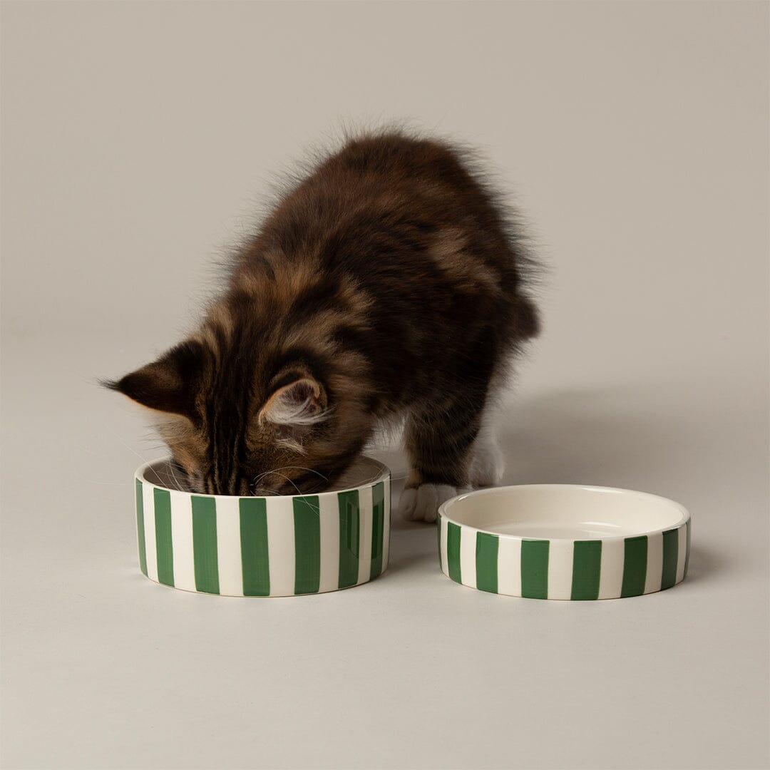 Amalfi Striped 2 Piece Cat Food Bowl & Saucer Set - Green Pet Bowls, Feeders & Waterers Scruffs® 