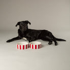 Amalfi Striped 2 Piece Dog Bowl Food & Water Bowl Set - Red Pet Bowls, Feeders & Waterers Scruffs® 