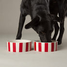 Amalfi Striped 2 Piece Dog Bowl Food & Water Bowl Set - Red Pet Bowls, Feeders & Waterers Scruffs® 