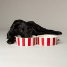 Amalfi Striped 2 Piece Dog Bowl Food & Water Bowl Set - Red Pet Bowls, Feeders & Waterers Scruffs® 
